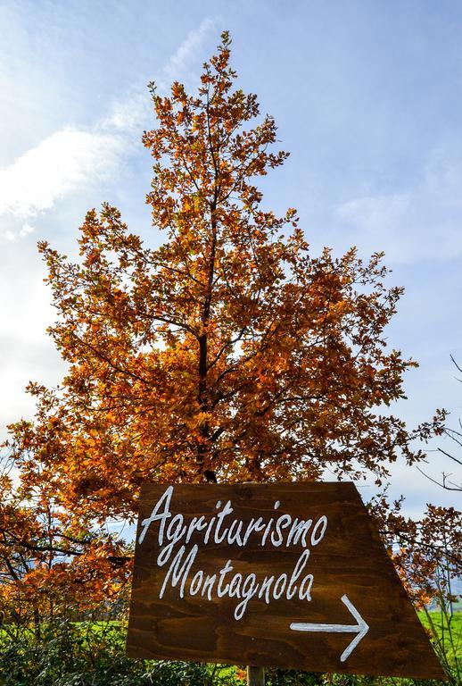Villa Agriturismo Montagnola Abruzzo Casalanguida Exterior foto